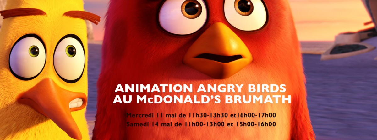 Angry birds